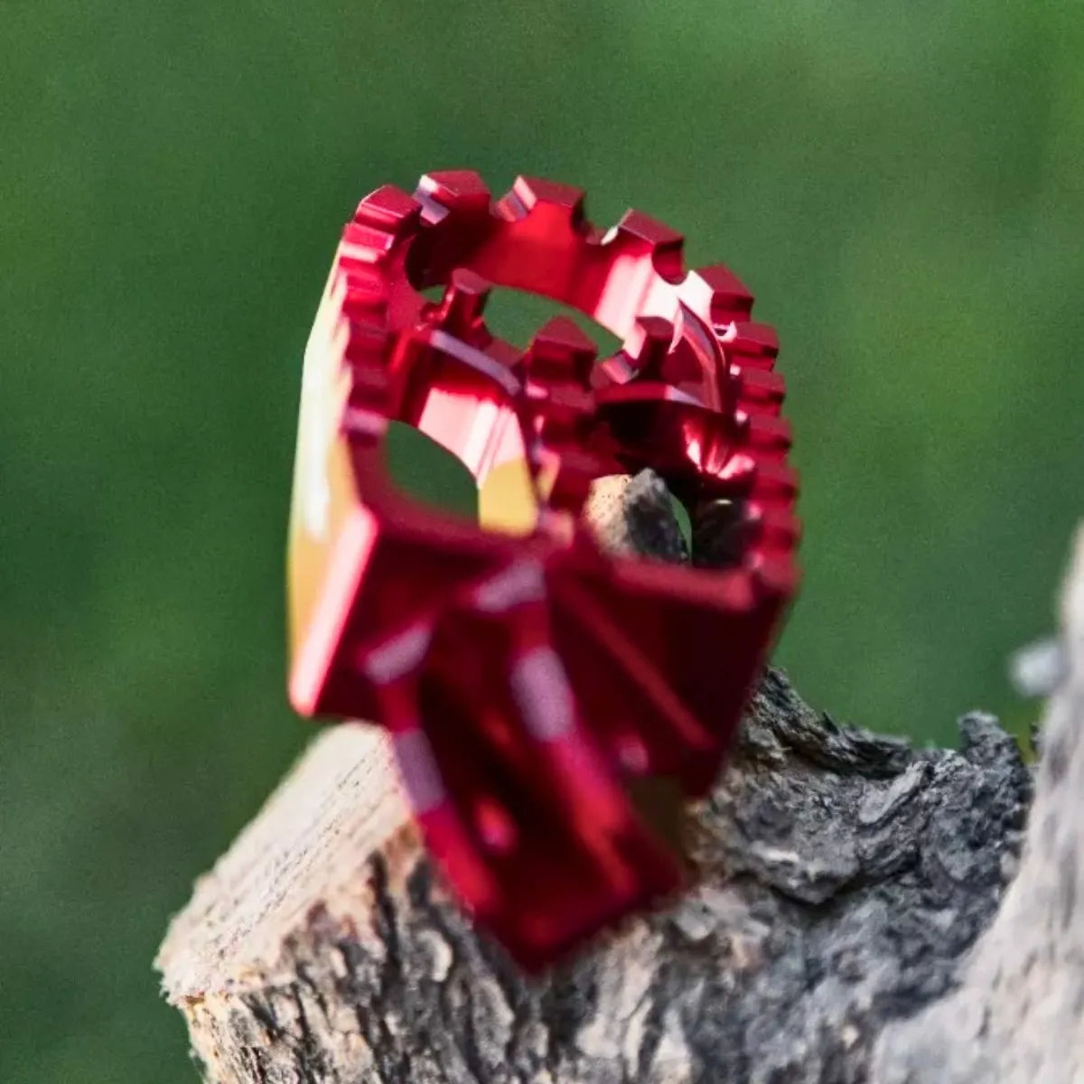 D_NQ_NP_2X_771846-MLA83132536273_032025-F